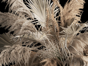 Hanging Bouquet Of Dry Reeds For Decoration 257 3D Модель