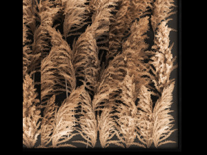 Decorating A Wall Of Dry Reeds For The Interior 258 3D Model