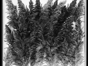Decorating A Wall Of Dry Reeds For The Interior 258 3D Model