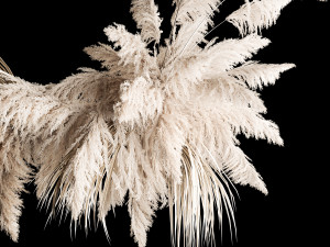 Hanging Bouquet Of Dry Reeds For Decoration 260 3D Model