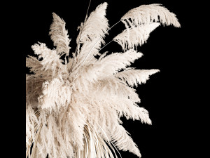 Hanging Bouquet Of Dry Reeds For Decoration 260 3D Model