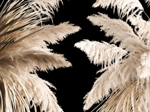 Hanging Bouquet Of Dry Reeds For Decoration 2 3D Model