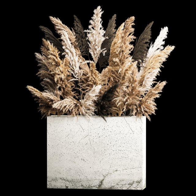 Deorative Bouquet In A Concrete Vase Of Dry Reeds 3D 模型 .c4d .max .obj .3ds .fbx .stl .blend 