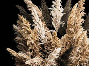 Deorative Bouquet In A Concrete Vase Of Dry Reeds 3D Model