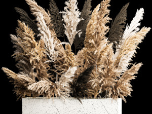 Deorative Bouquet In A Concrete Vase Of Dry Reeds 3D 模型