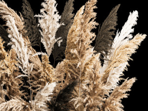Deorative Bouquet In A Concrete Vase Of Dry Reeds 3D 模型