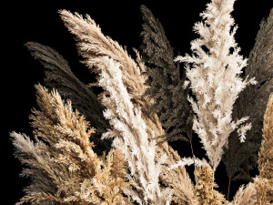 Deorative Bouquet In A Concrete Vase Of Dry Reeds 3D Model