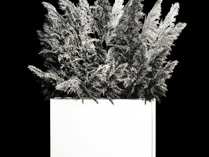 Deorative Bouquet In A Concrete Vase Of Dry Reeds 3D 模型