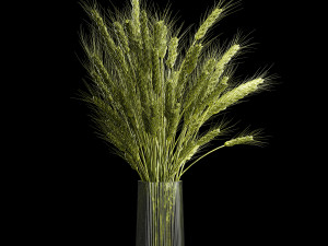Bouquet Of Green Ears Of Wheat In A Vase Modèle 3D