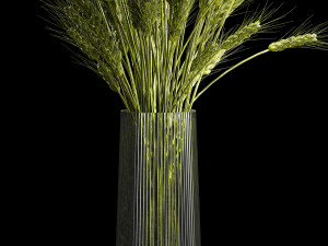 Bouquet Of Green Ears Of Wheat In A Vase Modèle 3D