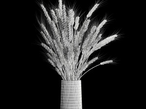 Bouquet Of Green Ears Of Wheat In A Vase Modèle 3D