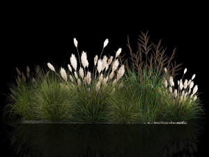 Decorative Bushes For Landscaping 1120 3D Model