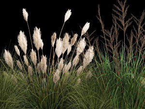 Decorative Bushes For Landscaping 1120 3D Model