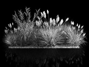 Decorative Bushes For Landscaping 1120 3D Model