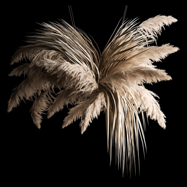 Previous Next Color palette Hanging Bouquet Of Dry Reeds For Decoration 266 Model 3D .c4d .max .obj .3ds .fbx .stl .blend 