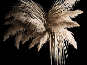 Previous Next Color palette Hanging Bouquet Of Dry Reeds For Decoration 266 3D Model