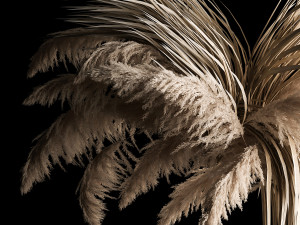 Previous Next Color palette Hanging Bouquet Of Dry Reeds For Decoration 266 Model 3D