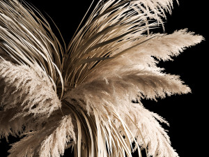 Previous Next Color palette Hanging Bouquet Of Dry Reeds For Decoration 266 Model 3D
