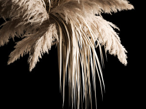 Previous Next Color palette Hanging Bouquet Of Dry Reeds For Decoration 266 Model 3D