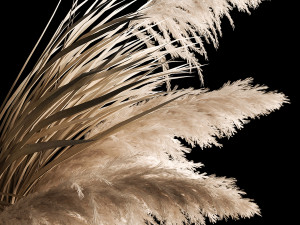 Previous Next Color palette Hanging Bouquet Of Dry Reeds For Decoration 266 Model 3D