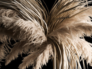 Previous Next Color palette Hanging Bouquet Of Dry Reeds For Decoration 266 Model 3D