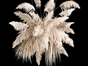 Hanging Bouquet Of Dry Reeds For Decoration 267 3D Model