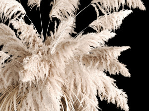 Hanging Bouquet Of Dry Reeds For Decoration 267 3D Model