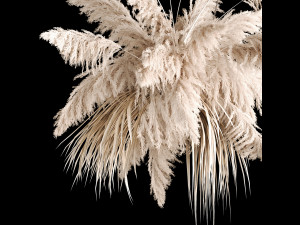 Hanging Bouquet Of Dry Reeds For Decoration 267 3D Model