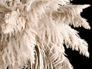 Hanging Bouquet Of Dry Reeds For Decoration 267 3D Model