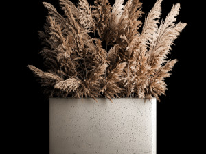 Deorative Bouquet In A Concrete Vase Of Dry Reeds 268 Modelo 3D