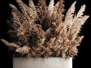 Deorative Bouquet In A Concrete Vase Of Dry Reeds 268 3D Model
