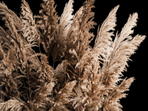 Deorative Bouquet In A Concrete Vase Of Dry Reeds 268 3D Model