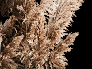 干芦苇混凝土花瓶中的装饰花束 268 3D 模型