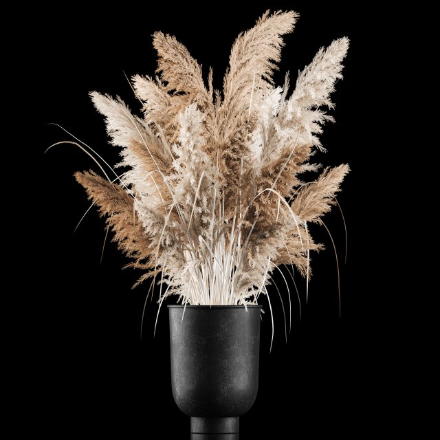 Bouquet Of Dry Reeds In A Black Metal Pot 269 3D Model .c4d .max .obj .3ds .fbx .stl .blend 