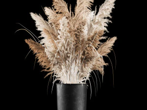 Bouquet Of Dry Reeds In A Black Metal Pot 269 3D Model