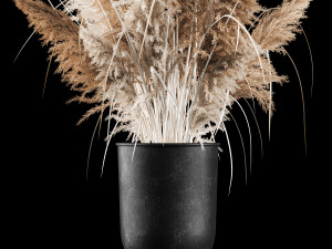 Bouquet Of Dry Reeds In A Black Metal Pot 269 3D Model