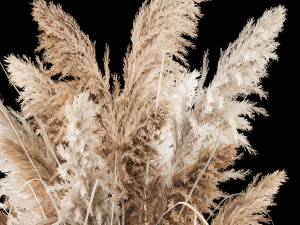 Bouquet Of Dry Reeds In A Black Metal Pot 269 3D Model