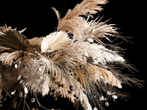 Hanging Bouquet Of Dry Reeds For Decoration 270 3Dモデル