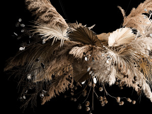 Hanging Bouquet Of Dry Reeds For Decoration 270 3Dモデル