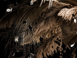 Hanging Bouquet Of Dry Reeds For Decoration 270 3Dモデル
