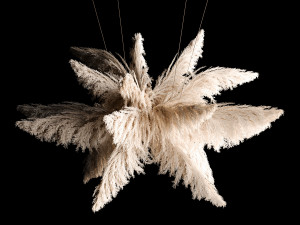 Hanging Bouquet Of Dry Reeds For Decoration 271 3D Model
