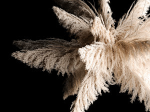 Hanging Bouquet Of Dry Reeds For Decoration 271 3D मॉडल