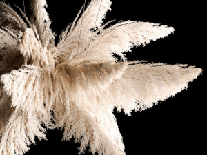 Hanging Bouquet Of Dry Reeds For Decoration 271 3D मॉडल