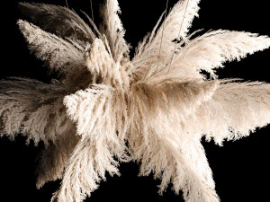 Hanging Bouquet Of Dry Reeds For Decoration 271 3D Model