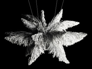 Hanging Bouquet Of Dry Reeds For Decoration 271 3D मॉडल