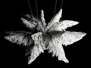 Hanging Bouquet Of Dry Reeds For Decoration 271 3D Model