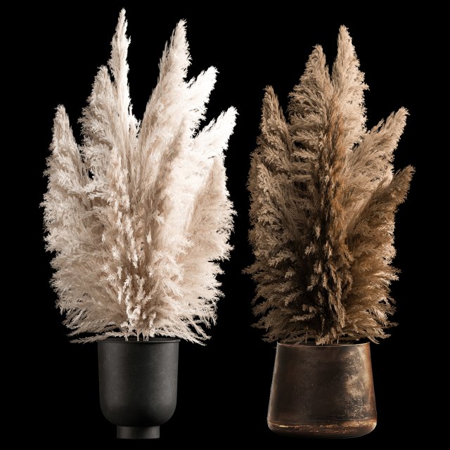 Bouquet Of Dry Reeds In A Black Metal Pot 272 3D 모델 .c4d .max .obj .3ds .fbx .stl .blend 