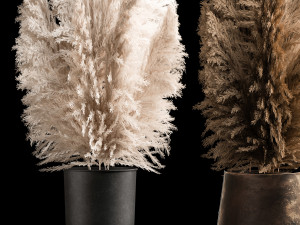 Bouquet Of Dry Reeds In A Black Metal Pot 272 3D 모델