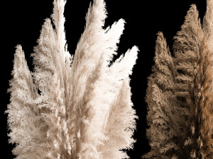 Bouquet Of Dry Reeds In A Black Metal Pot 272 3D 모델