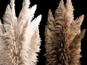 Bouquet Of Dry Reeds In A Black Metal Pot 272 3D 모델